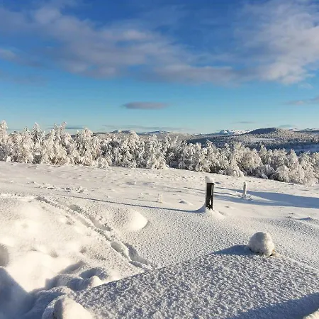 Simple Life In Nature Uvdal