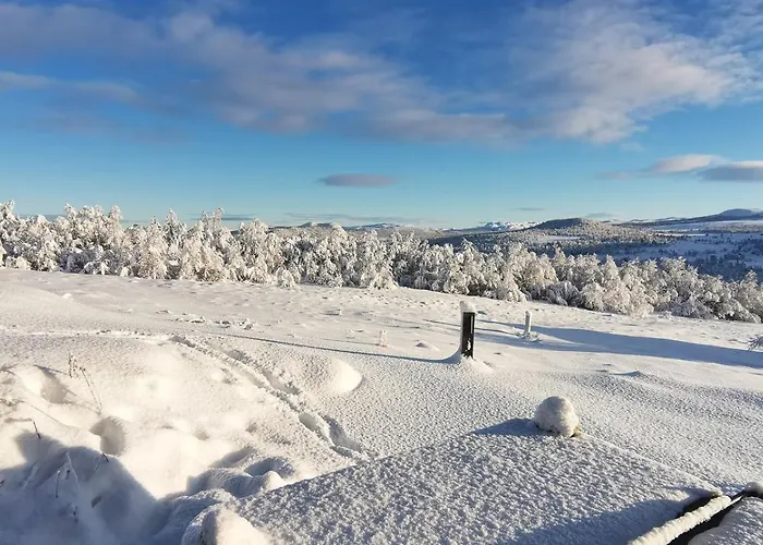 Simple Life In Nature Uvdal