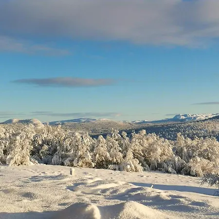 Simple Life In Nature *